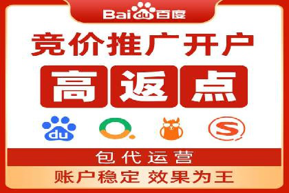 百度竞价排名案例解析：如何快速提升网站流量